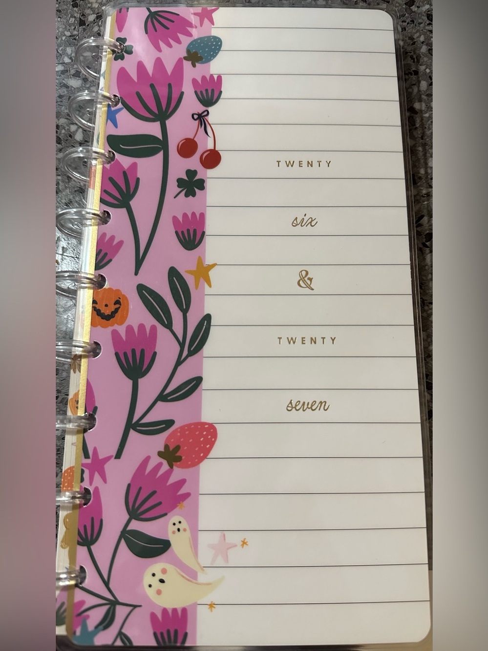 The Happy Planner 26/27 festive planner-